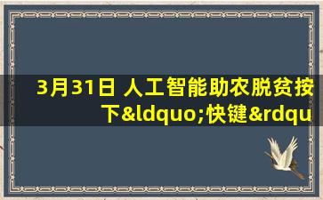 3月31日 人工智能助农脱贫按下“快键”